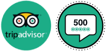 Top Reviews